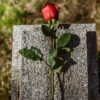 Gone Too Soon 100 Quotes About Unexpected Death